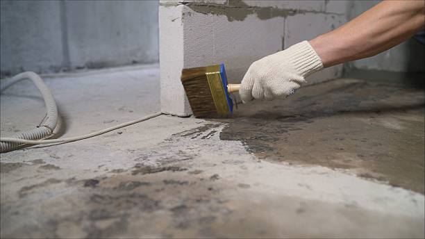 Top rated local Waterproofing specialists in New Lisbon, NJ